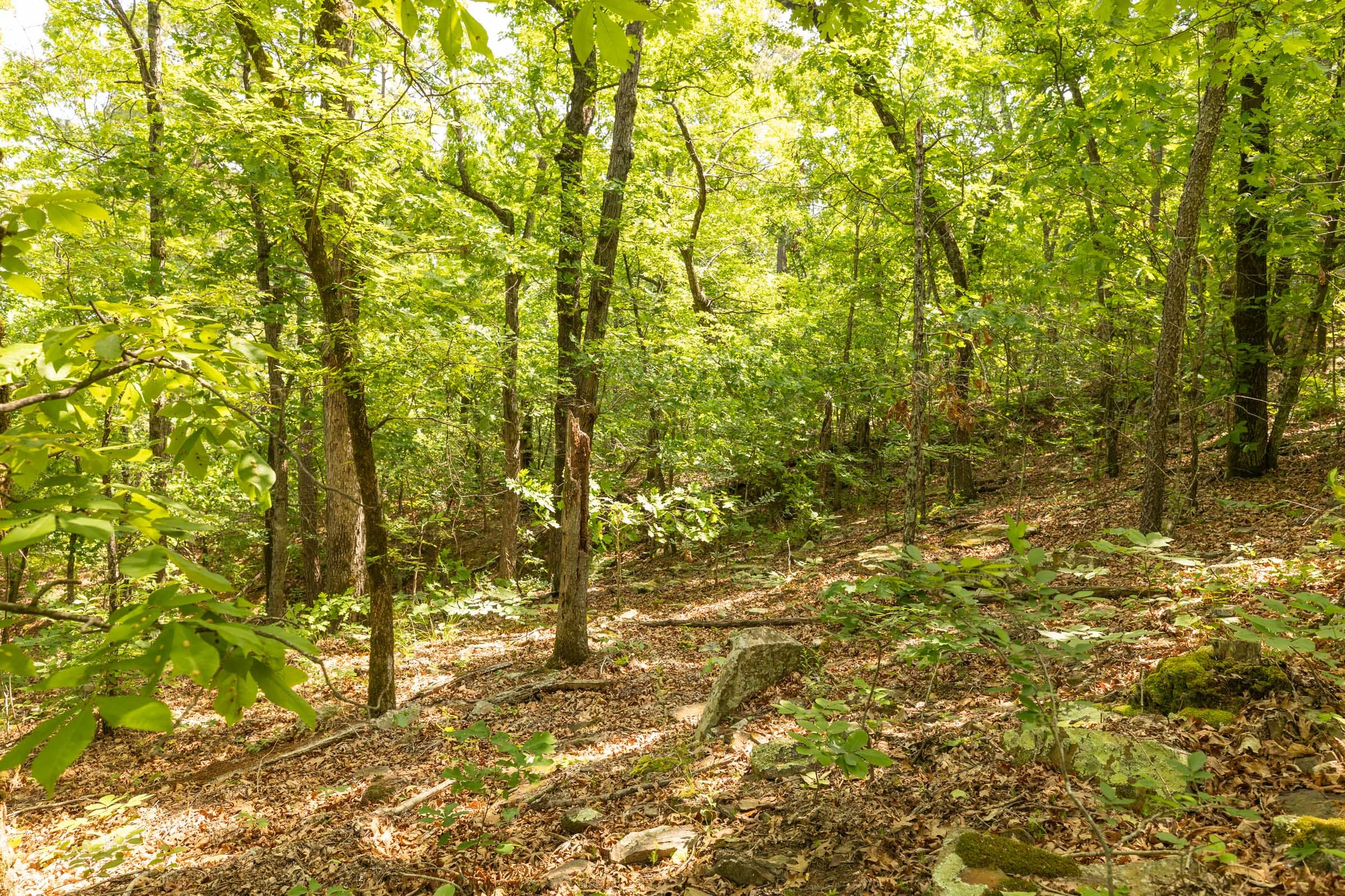 Stone Bridge Reserve Tract 34 photo 3