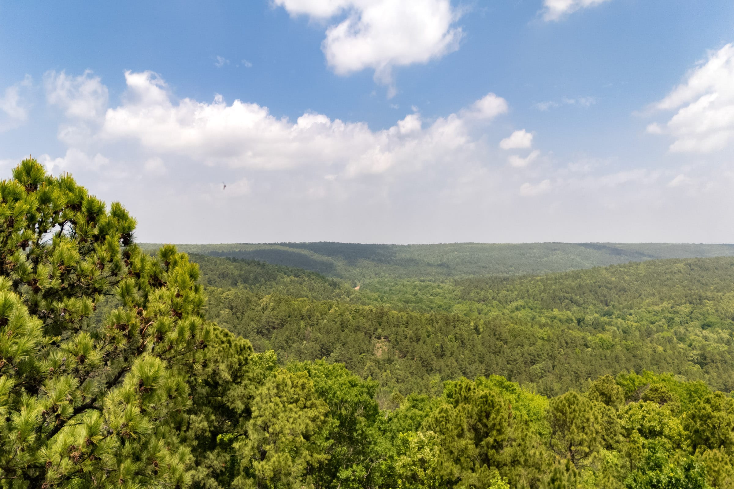 Stone Bridge Reserve Tract 34 photo 1