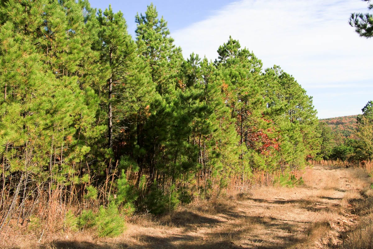 Stone Creek Phase III Tract 3 photo 5