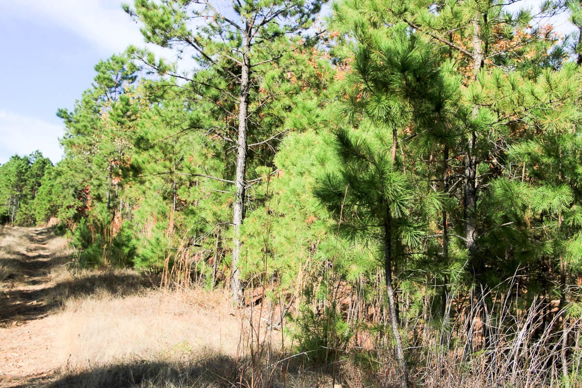 Stone Creek Phase III Tract 3 photo 7