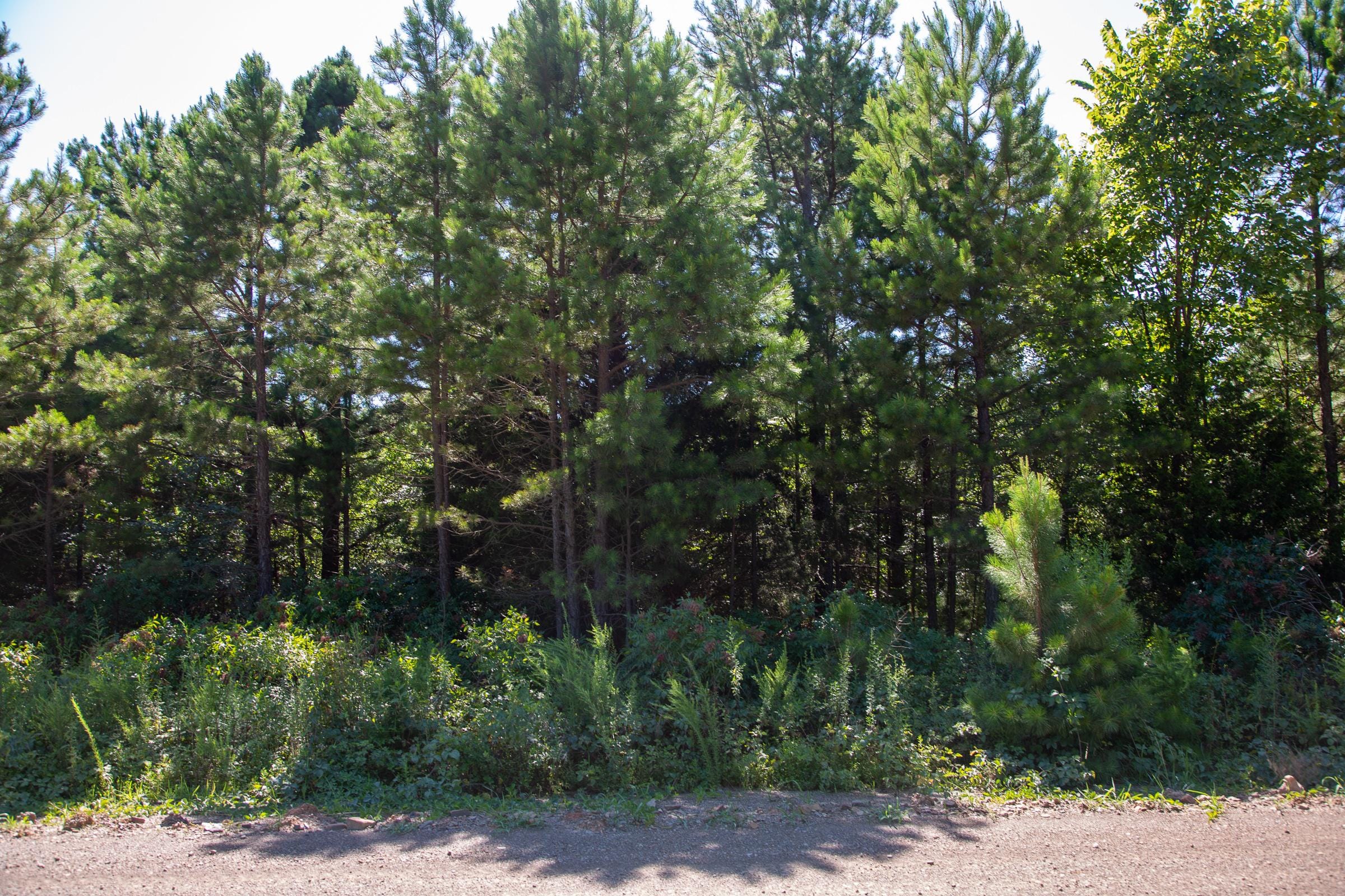 Tyler Stone Ranch Tract 5 photo 3
