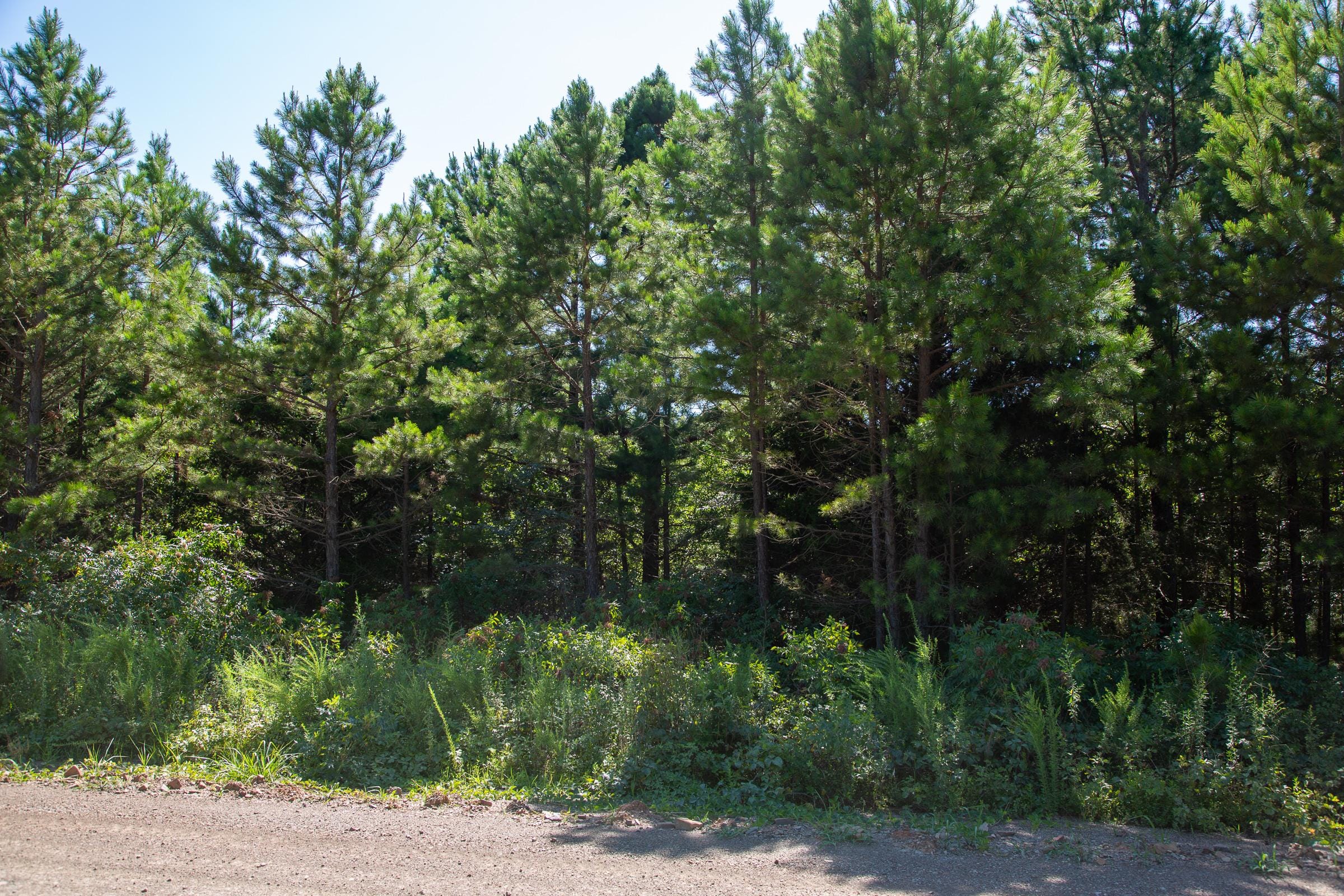 Tyler Stone Ranch Tract 5 photo 4