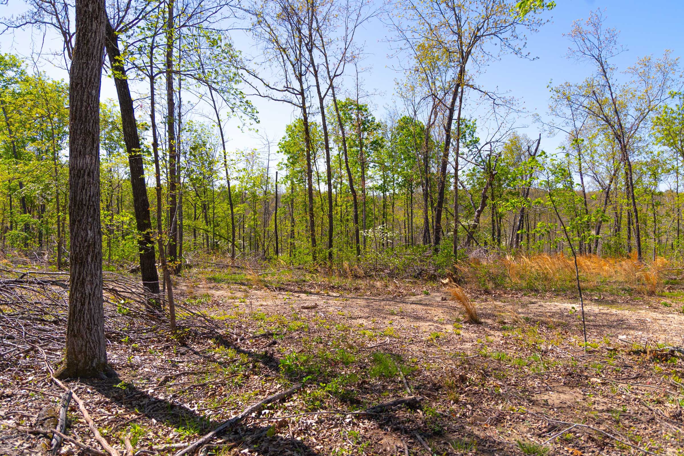 Lazybrook Tract 11 photo 3