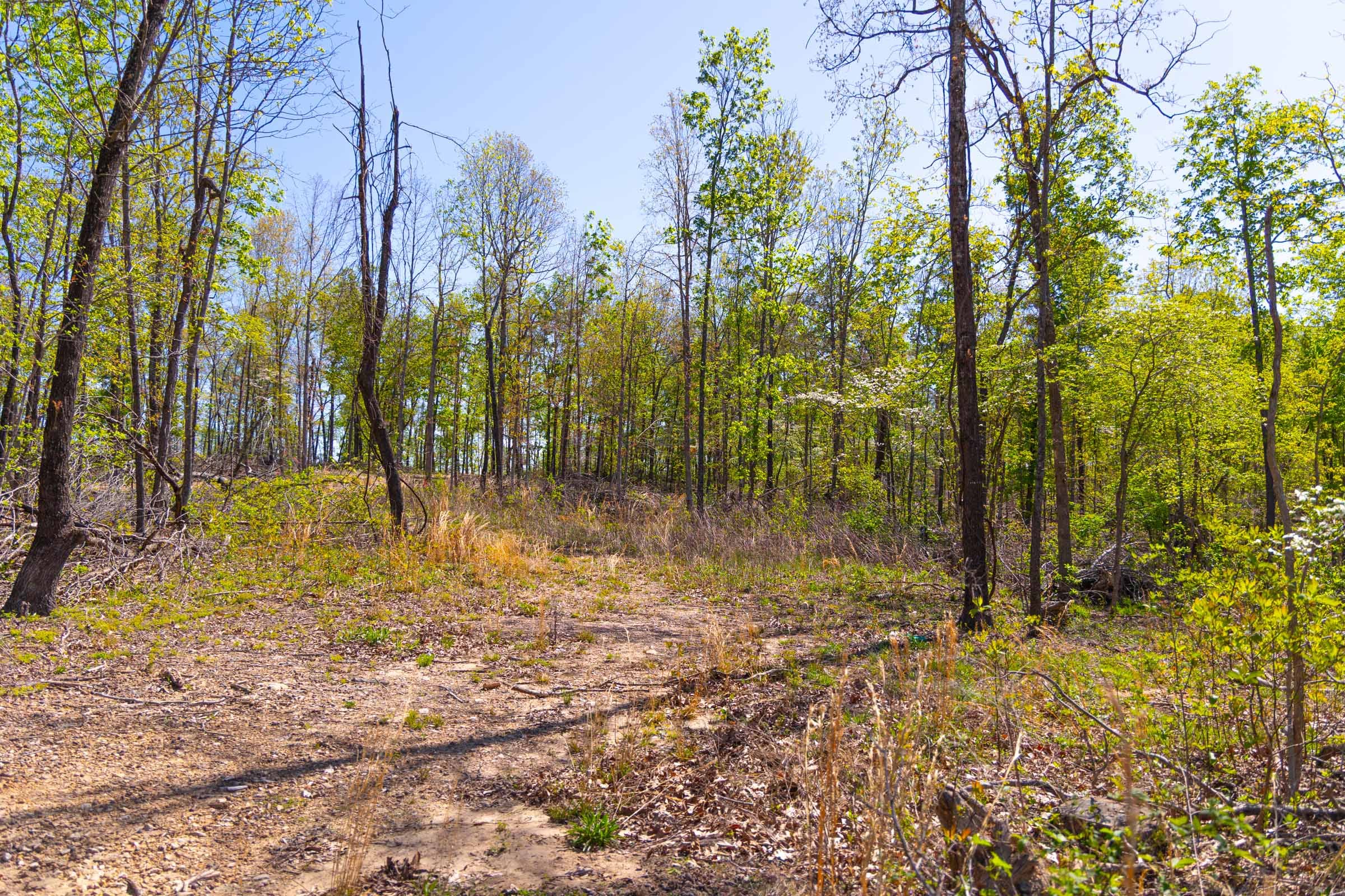 Lazybrook Tract 11 photo 12