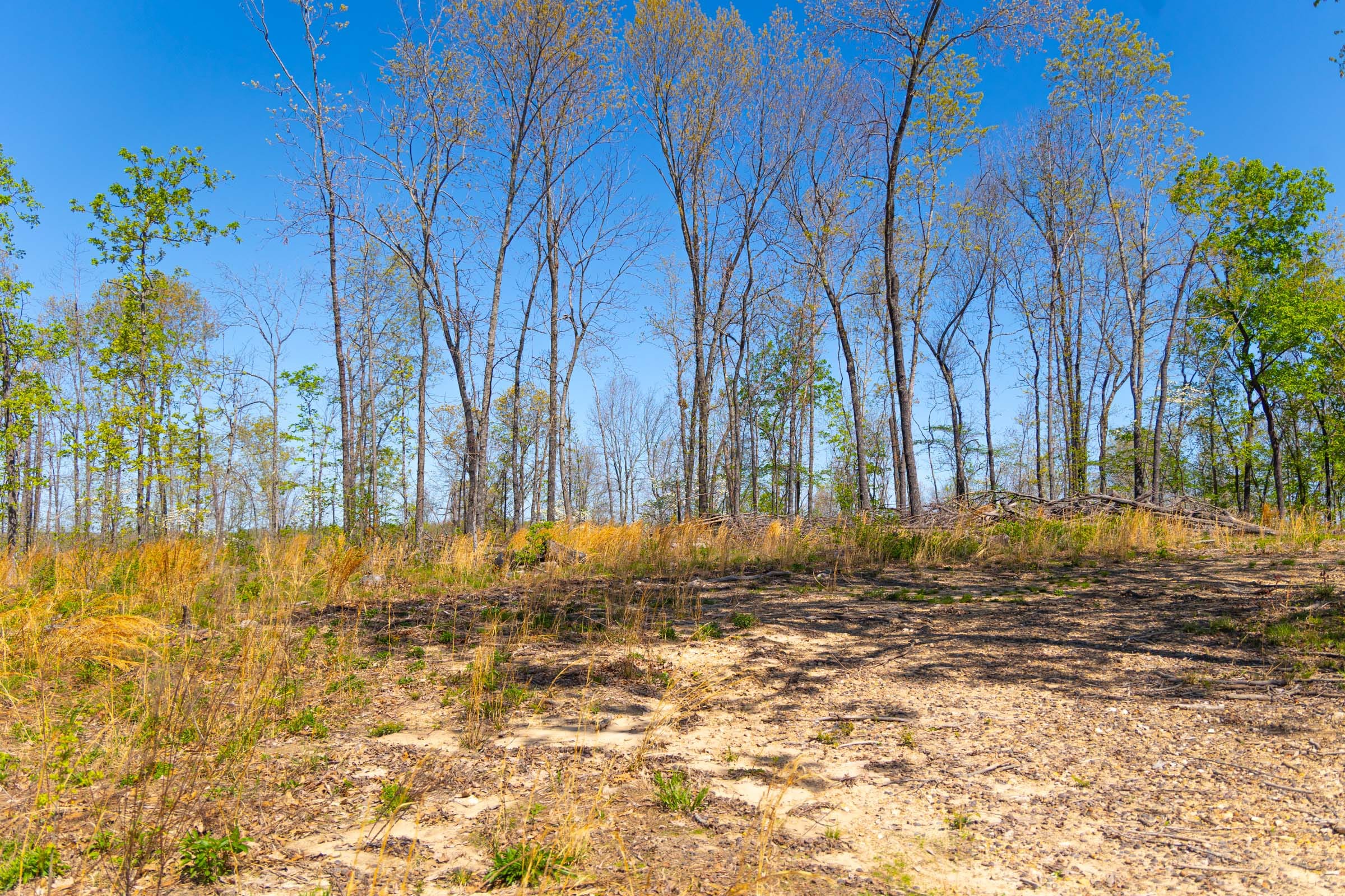 Lazybrook Tract 11 photo 8