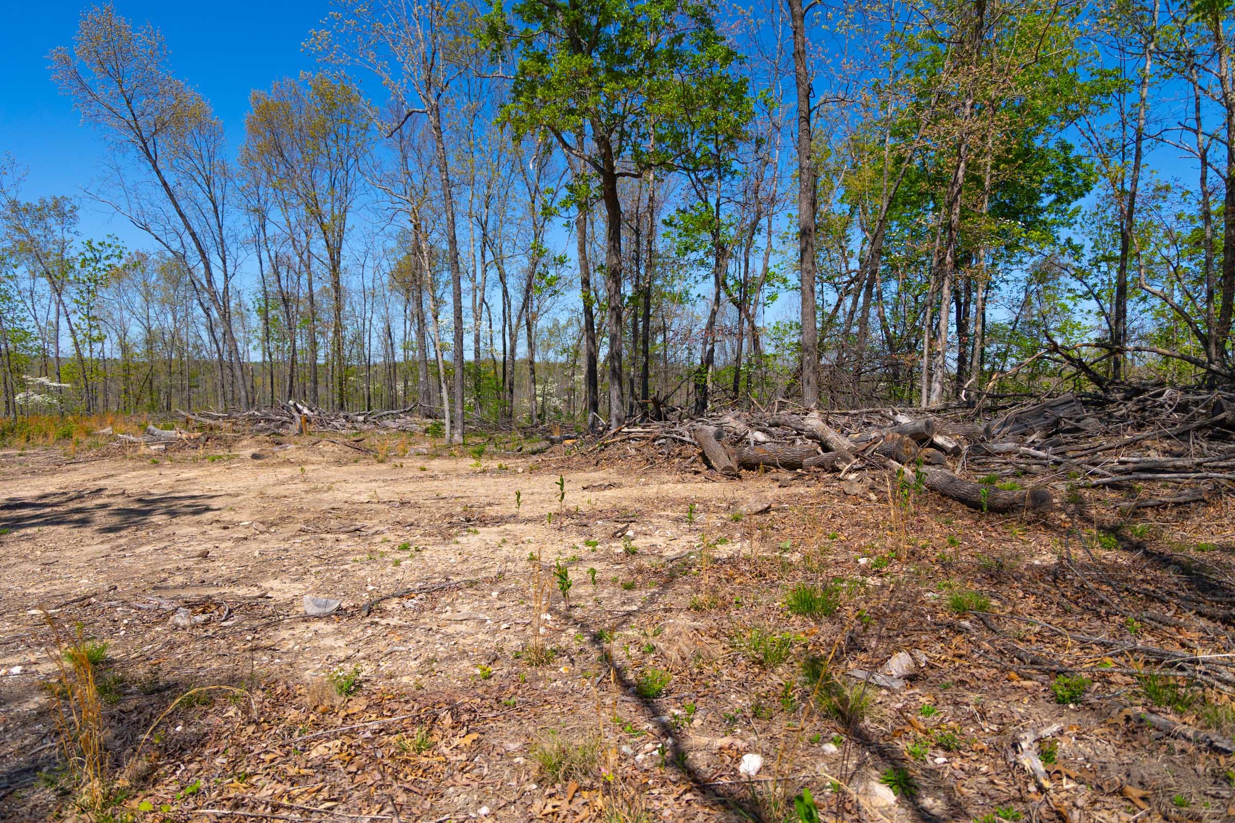 Lazybrook Tract 11 photo 1