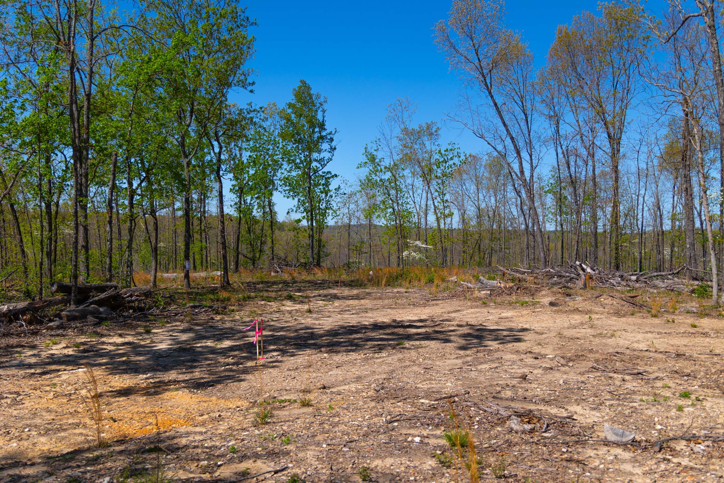 Lazybrook Tract 11 photo 2