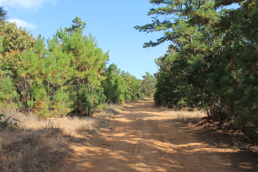 Indian Ridge – Phase III Tract 116 photo 2