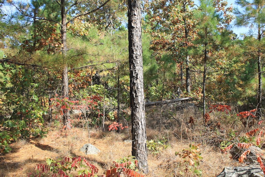 Indian Ridge – Phase III Tract 116 photo 5