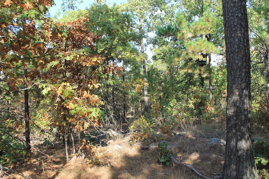 Indian Ridge – Phase III Tract 116 photo 6