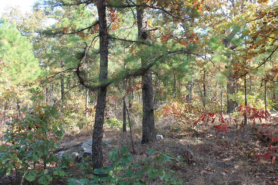 Indian Ridge – Phase III Tract 116 photo 7