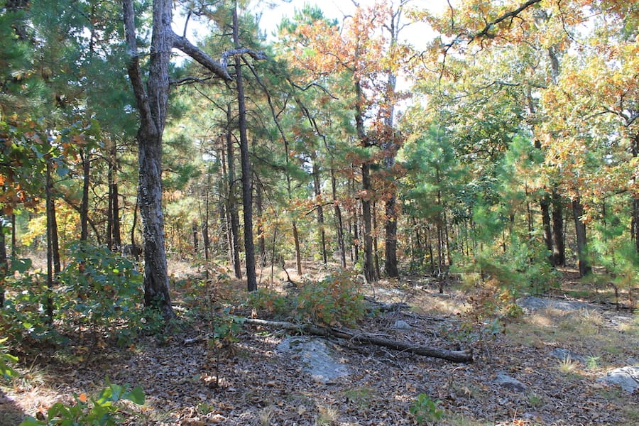 Indian Ridge – Phase III Tract 116 photo 8