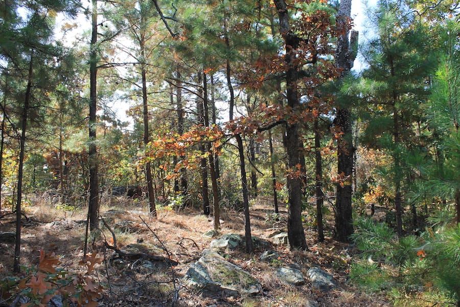 Indian Ridge – Phase III Tract 116 photo 9