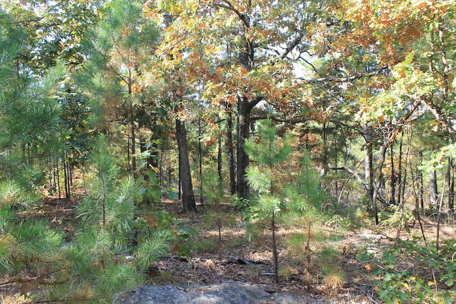 Indian Ridge – Phase III Tract 116 photo 10