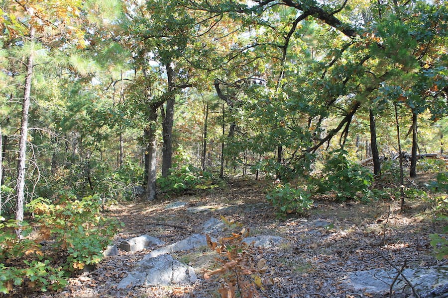 Indian Ridge – Phase III Tract 116 photo 11