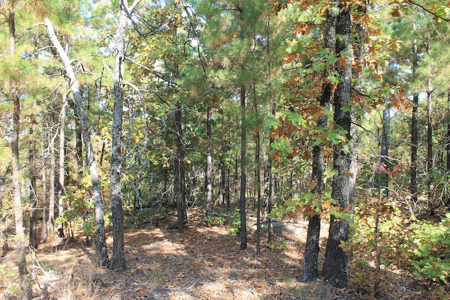 Indian Ridge – Phase III Tract 116 photo 12