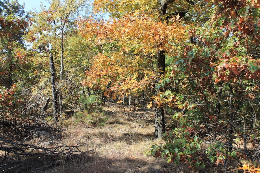 Indian Ridge – Phase III Tract 116 photo 13