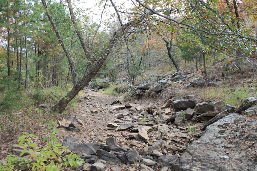 Indian Ridge – Phase III Tract 116 photo 14