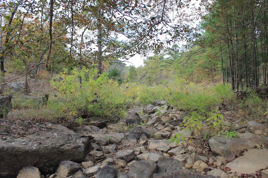 Indian Ridge – Phase III Tract 116 photo 15