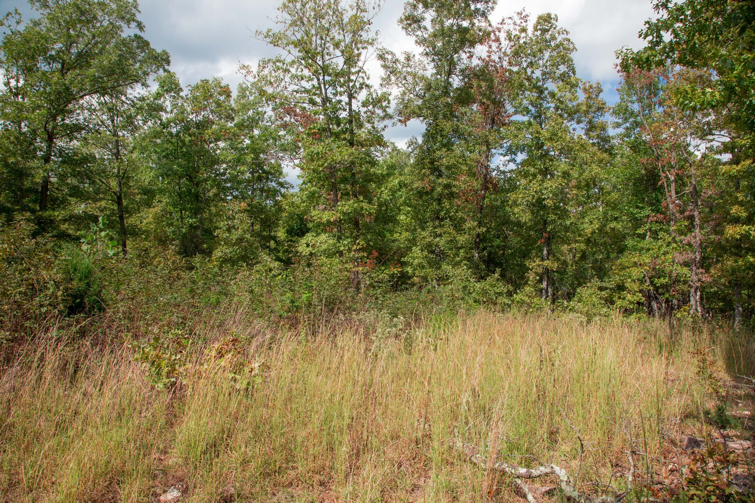 Wagon Wheel Ranch Tract 43 photo 2