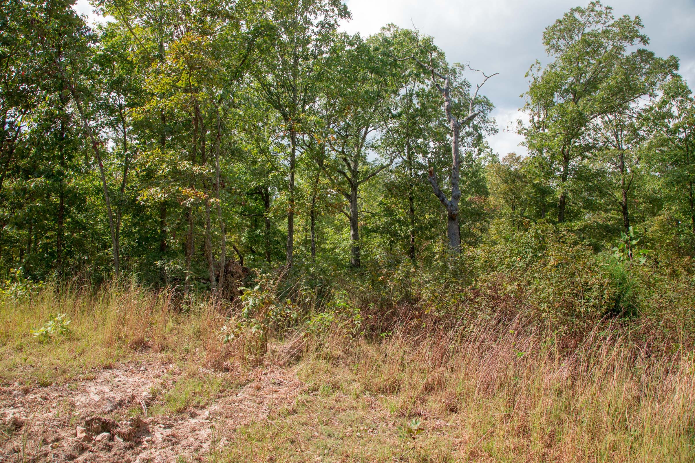 Wagon Wheel Ranch Tract 43 photo 3