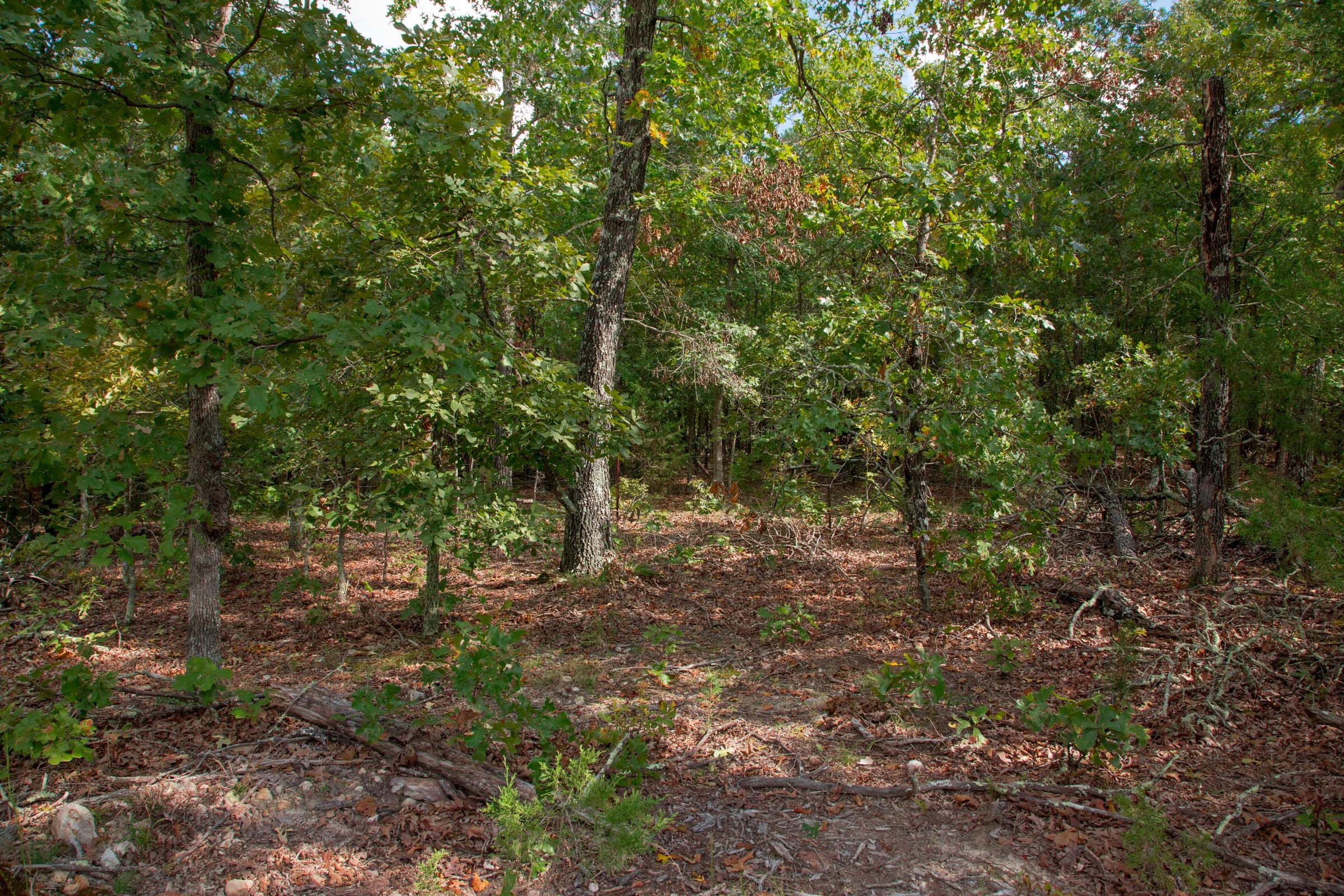 Wagon Wheel Ranch Tract 43 photo 4