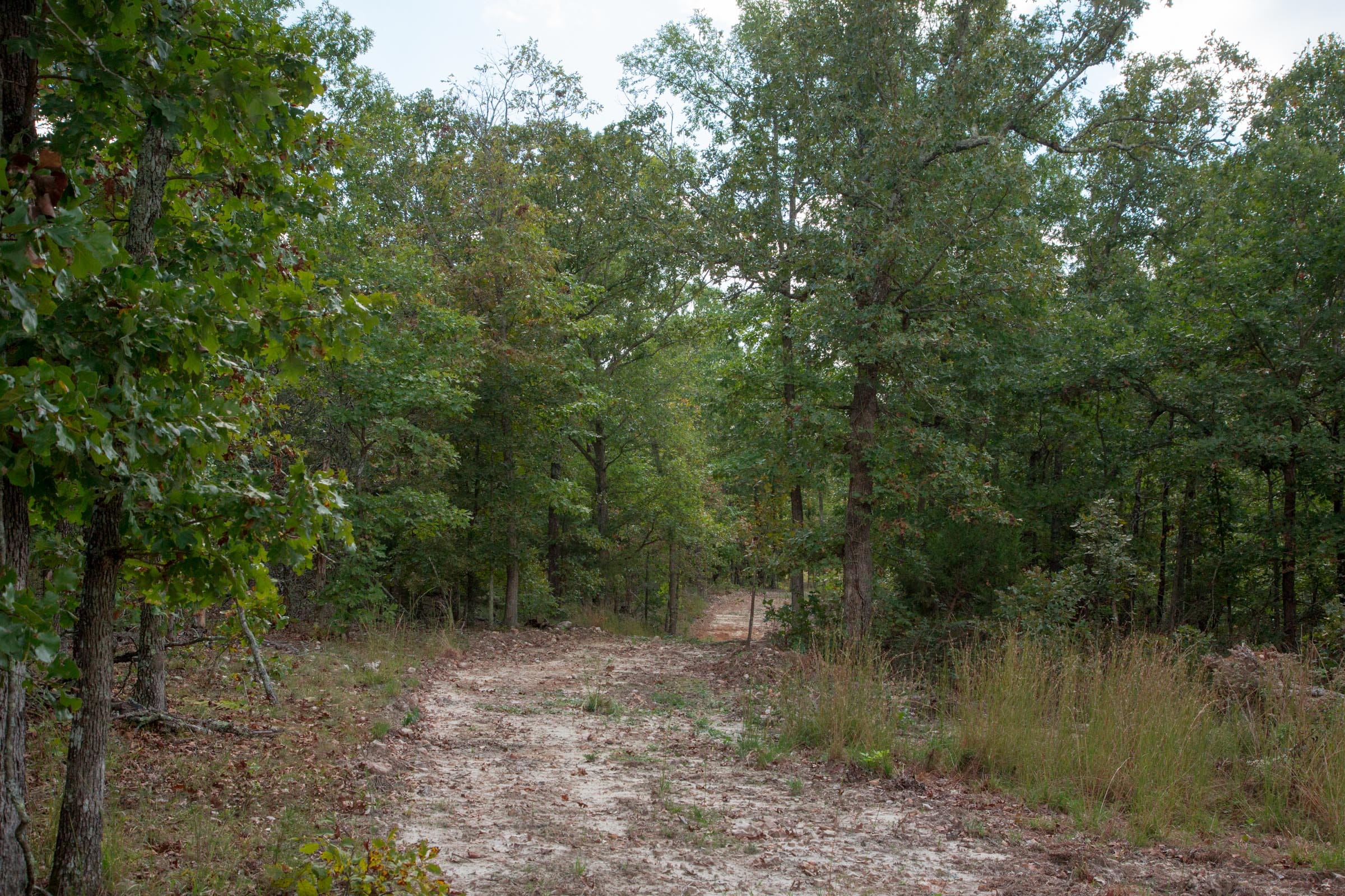 Wagon Wheel Ranch Tract 43 photo 6