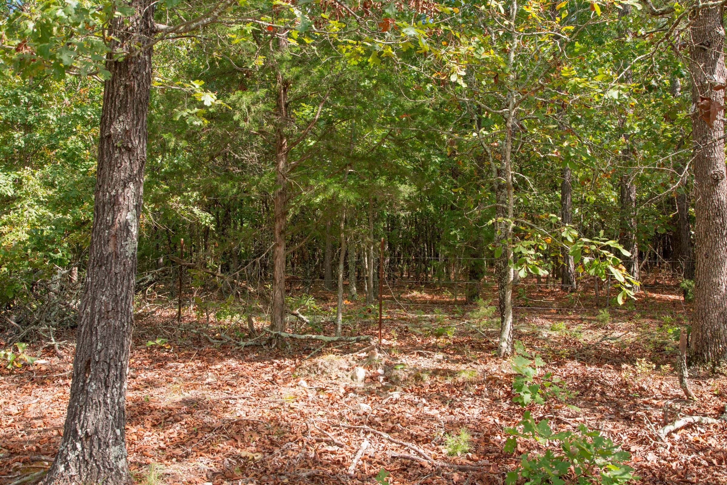 Wagon Wheel Ranch Tract 43 photo 8