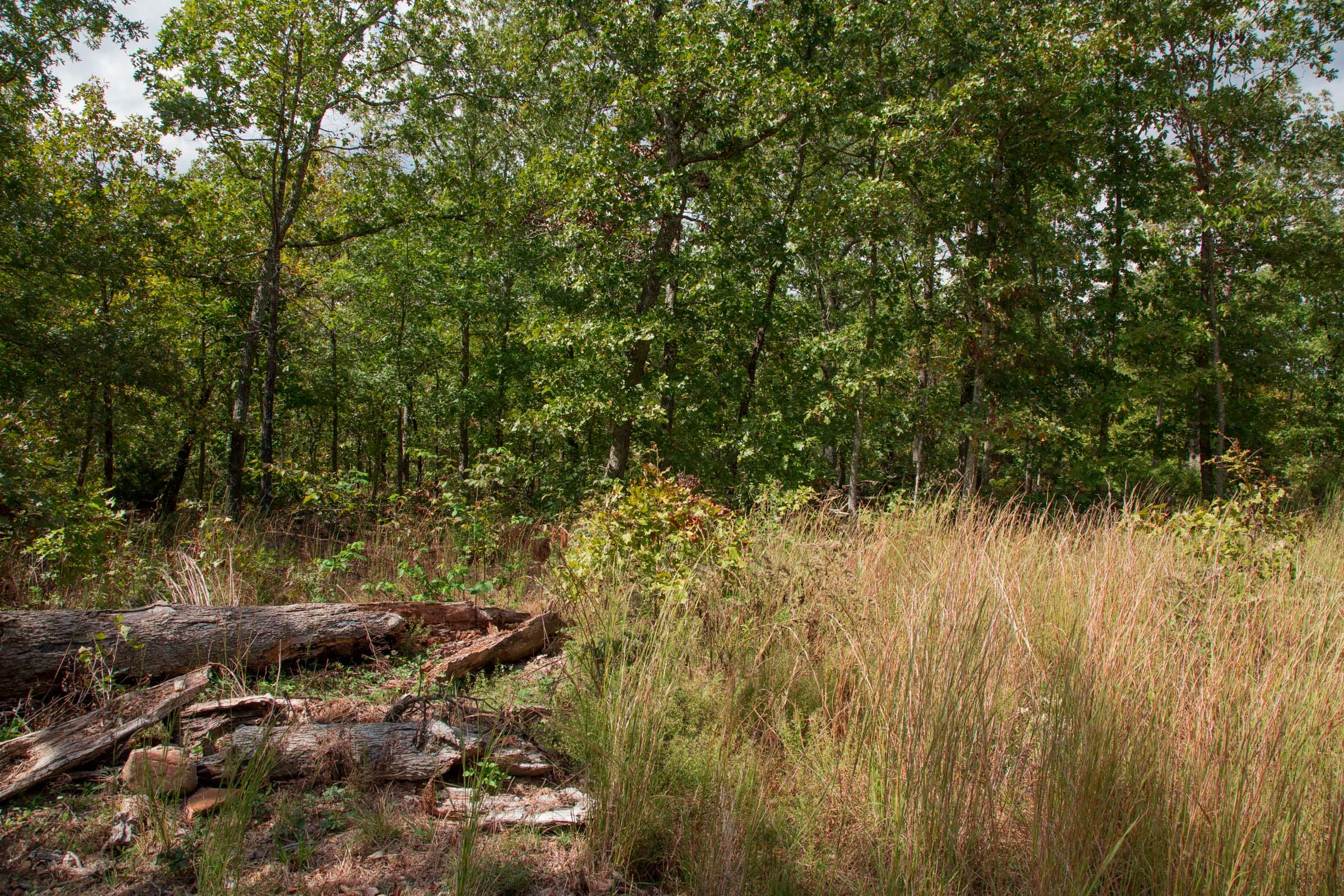 Wagon Wheel Ranch Tract 43 photo 9