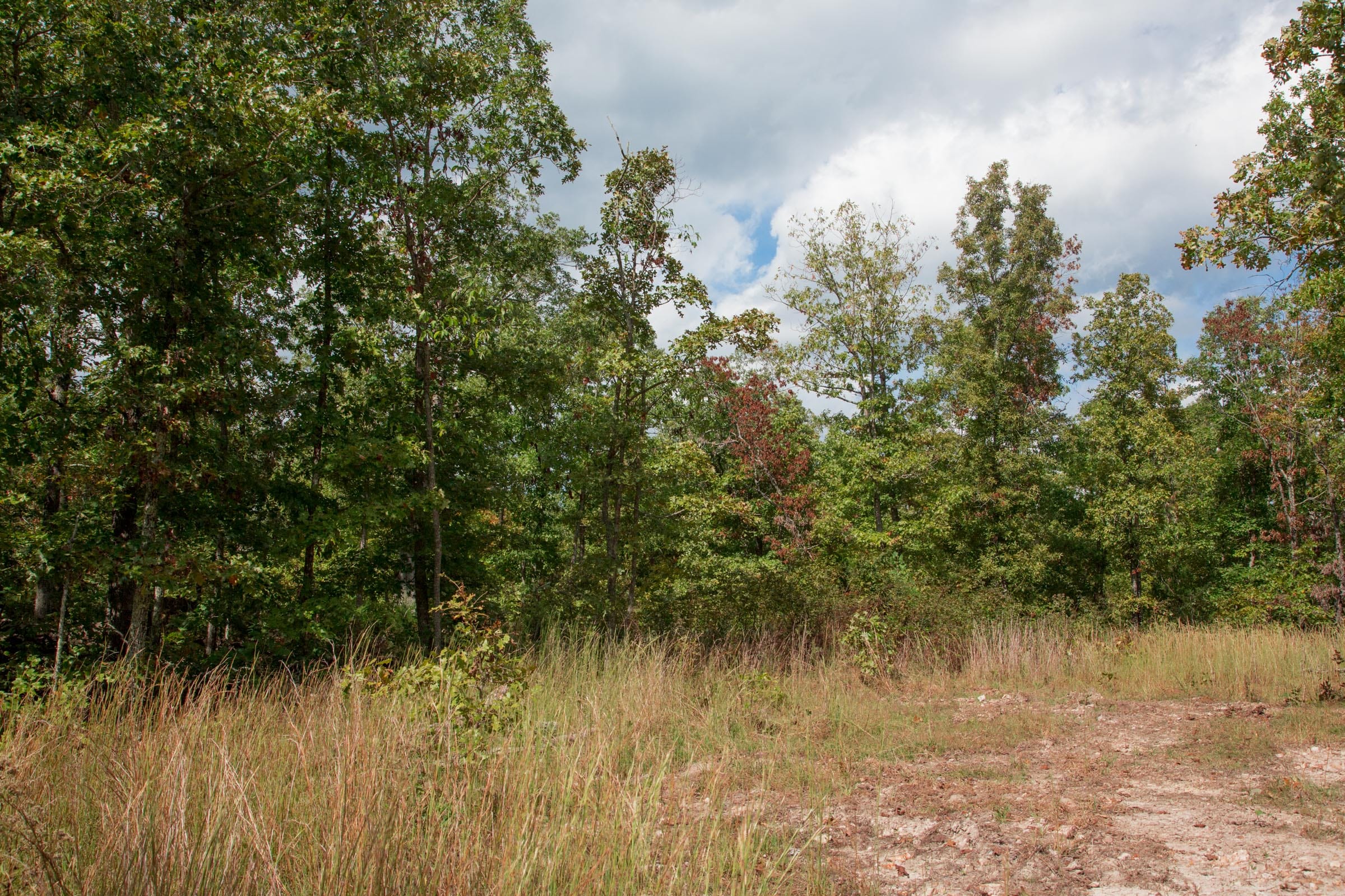 Wagon Wheel Ranch Tract 43 photo 1