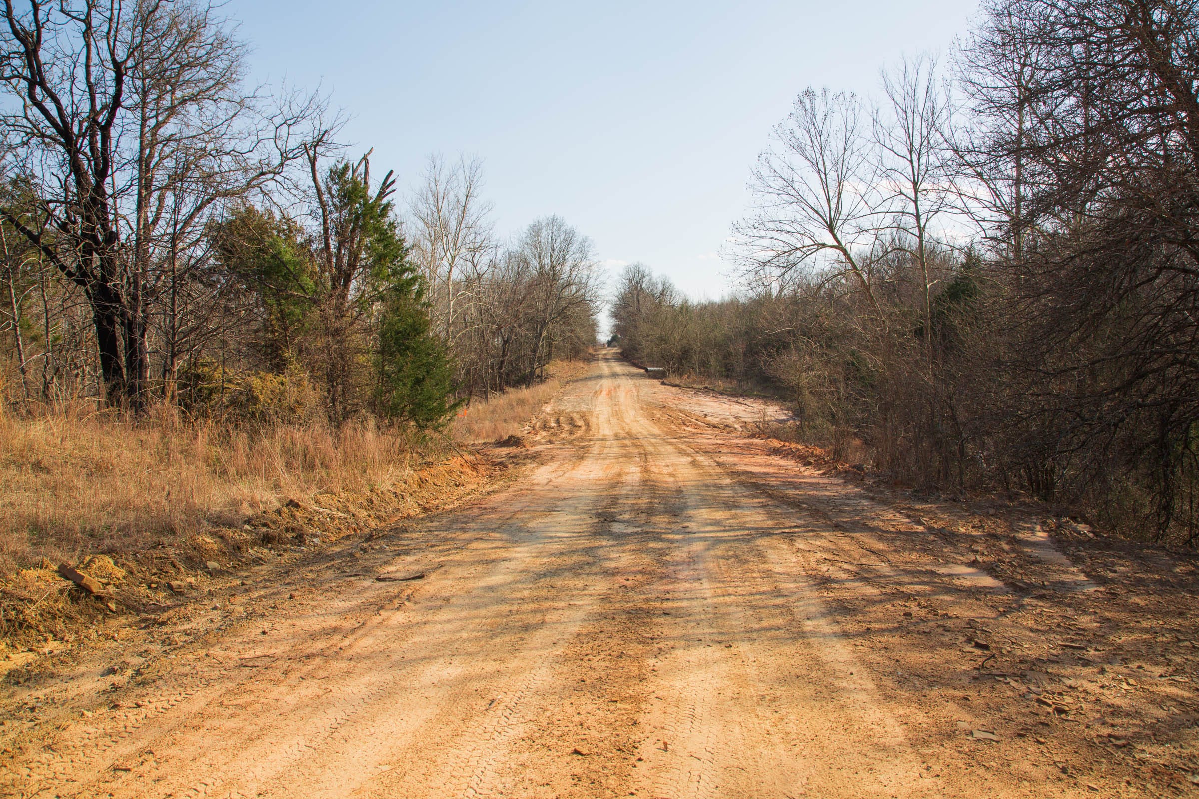 Eufaula Cove Tract 1 photo 2