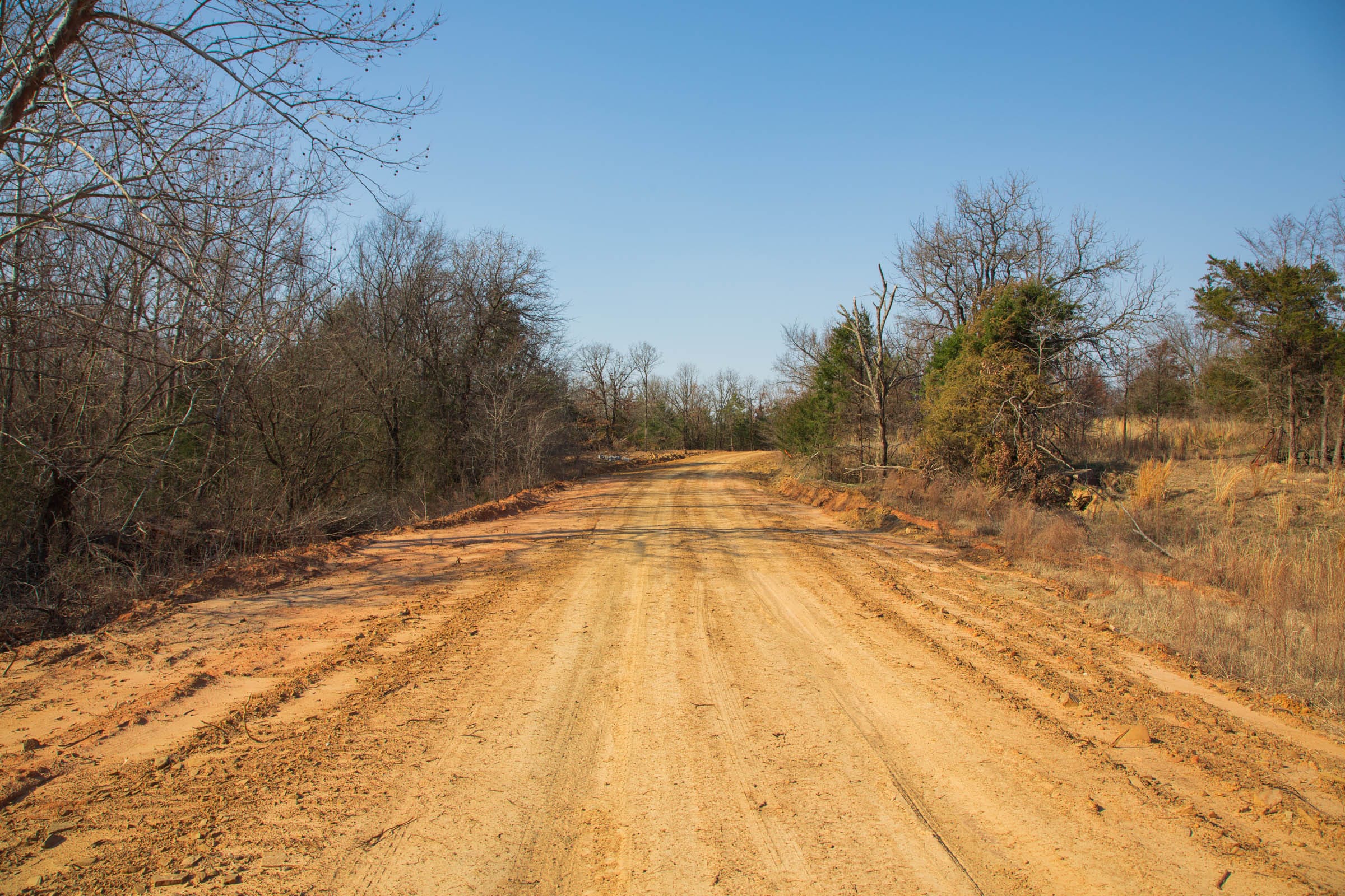 Eufaula Cove Tract 1 photo 3
