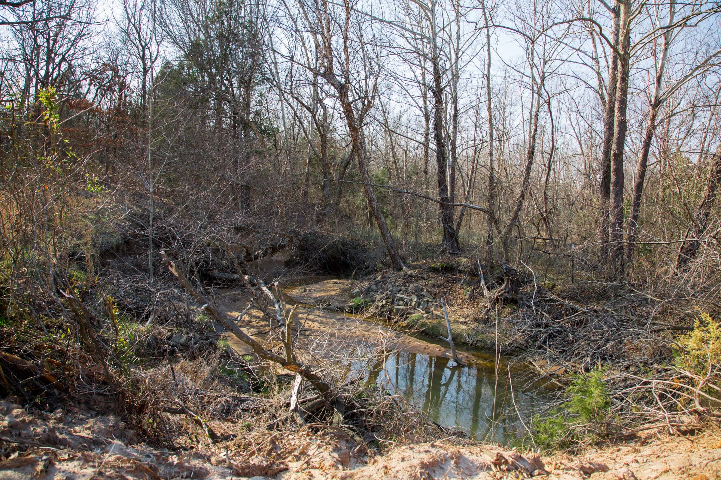 Eufaula Cove Tract 1 photo 4