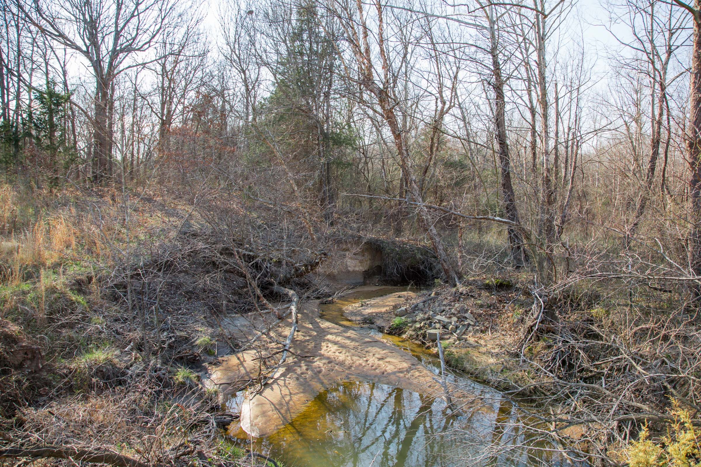 Eufaula Cove Tract 1 photo 5