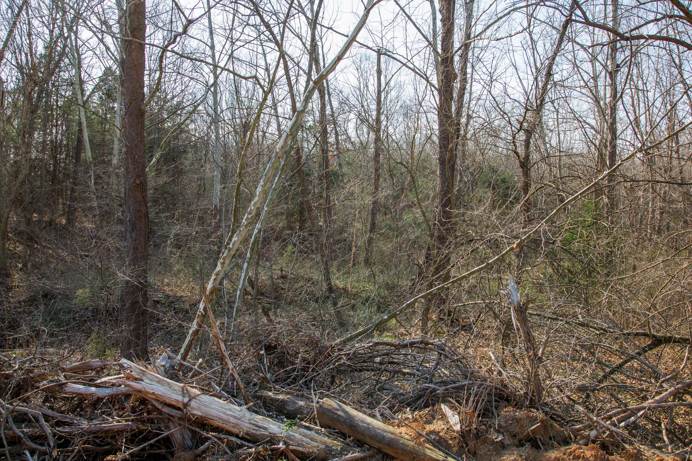 Eufaula Cove Tract 1 photo 7