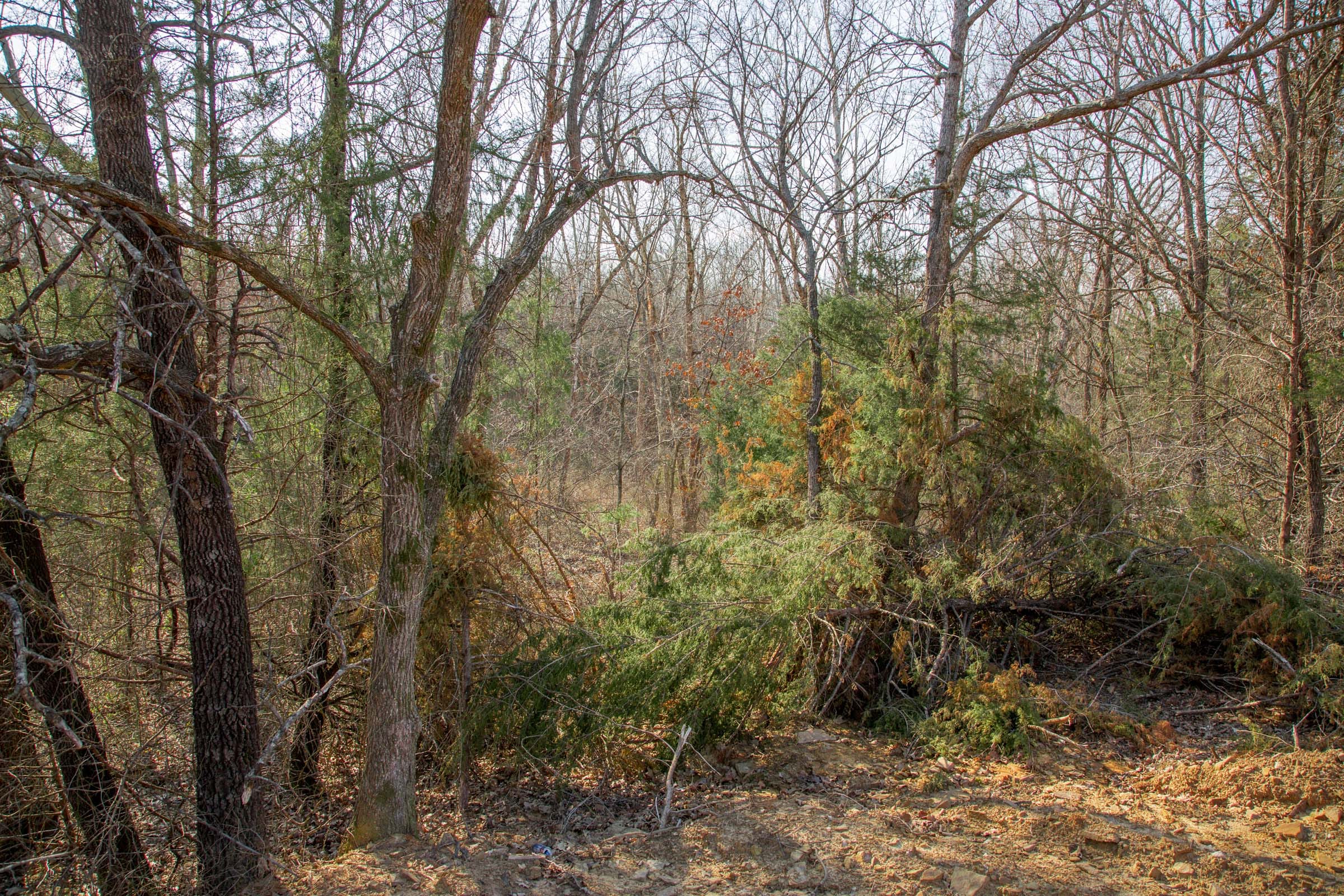 Eufaula Cove Tract 1 photo 8