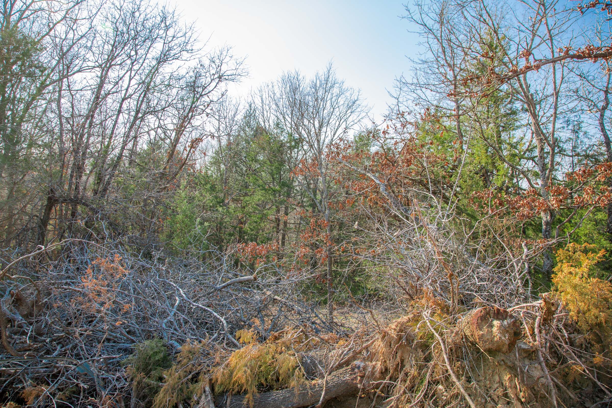 Eufaula Cove Tract 1 photo 10