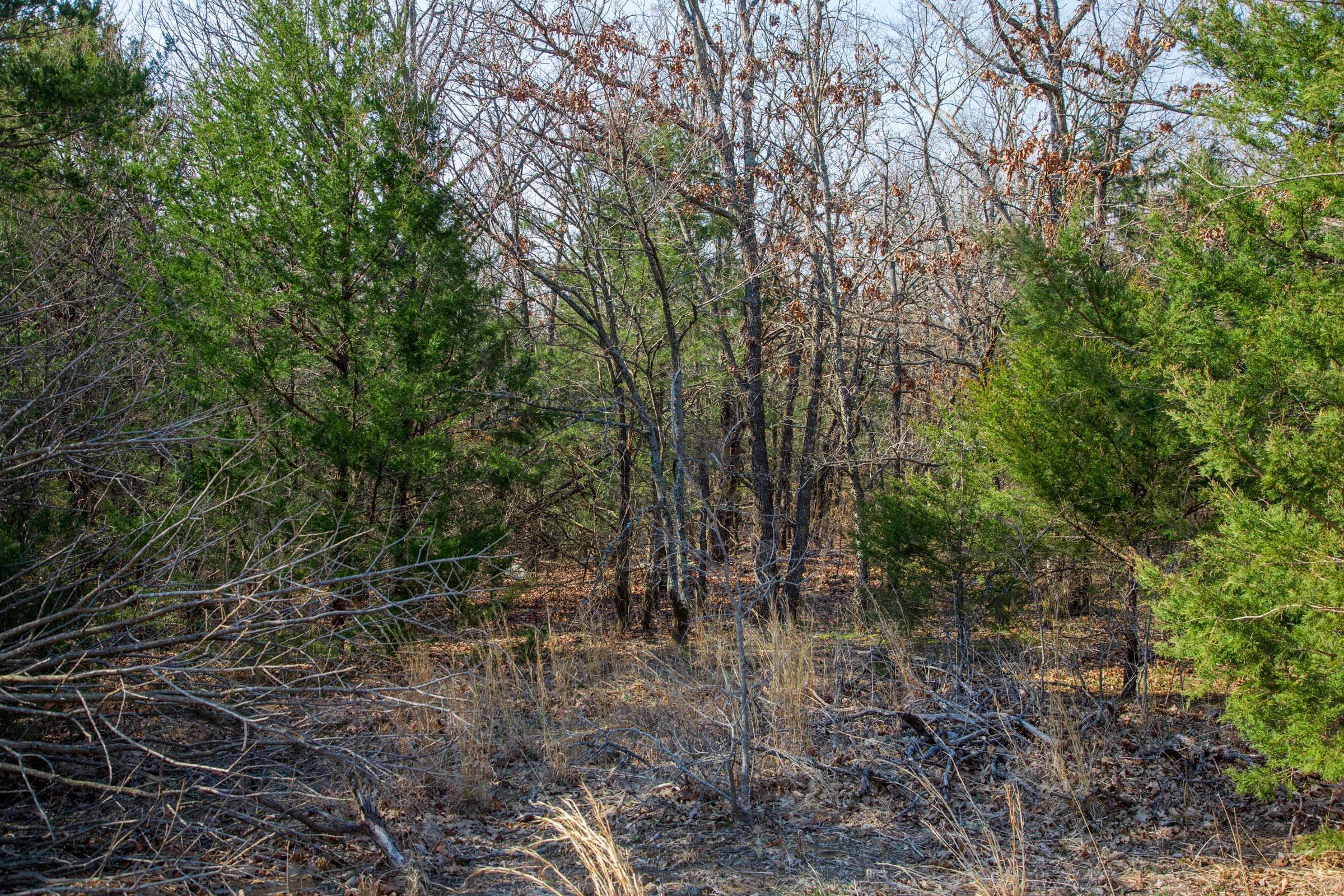 Eufaula Cove Tract 1 photo 11