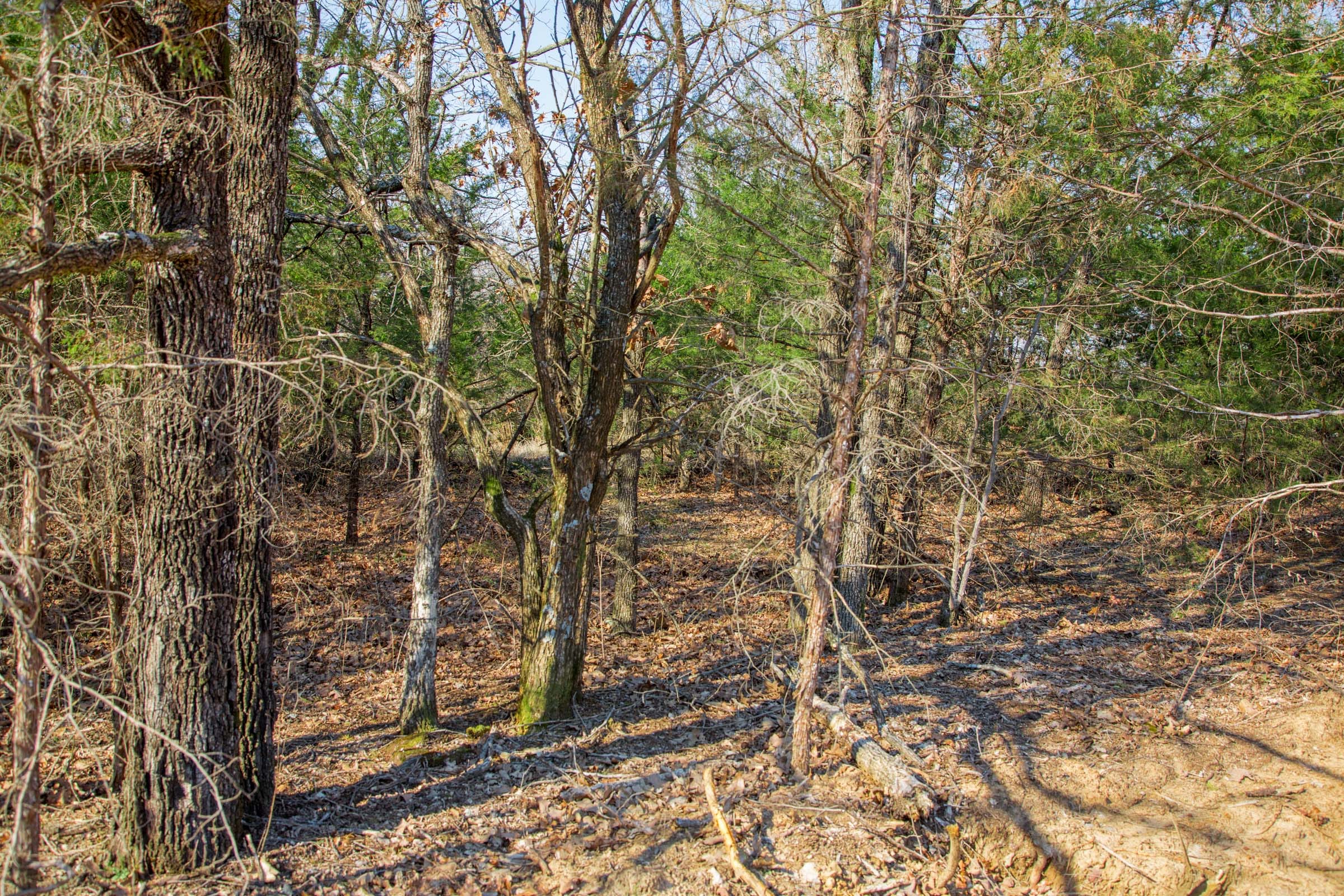 Eufaula Cove Tract 1 photo 12