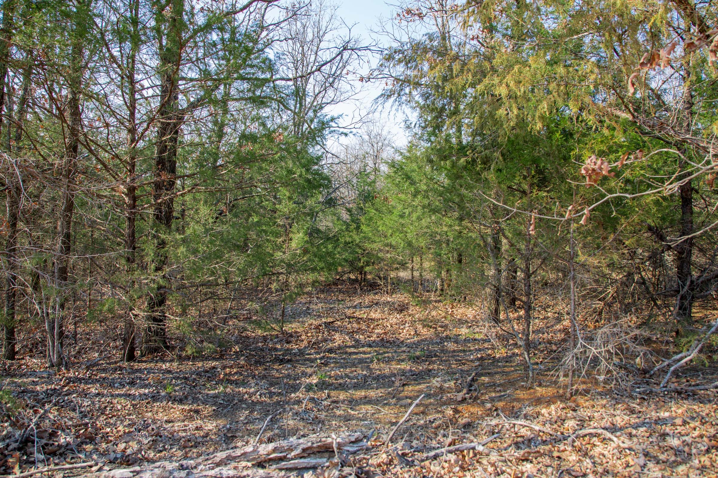Eufaula Cove Tract 1 photo 13