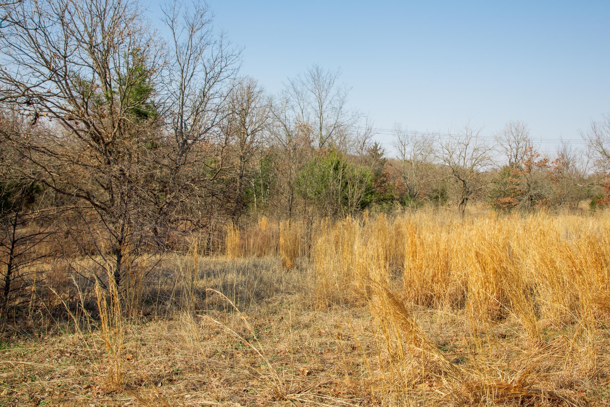 Eufaula Cove Tract 1 photo 15