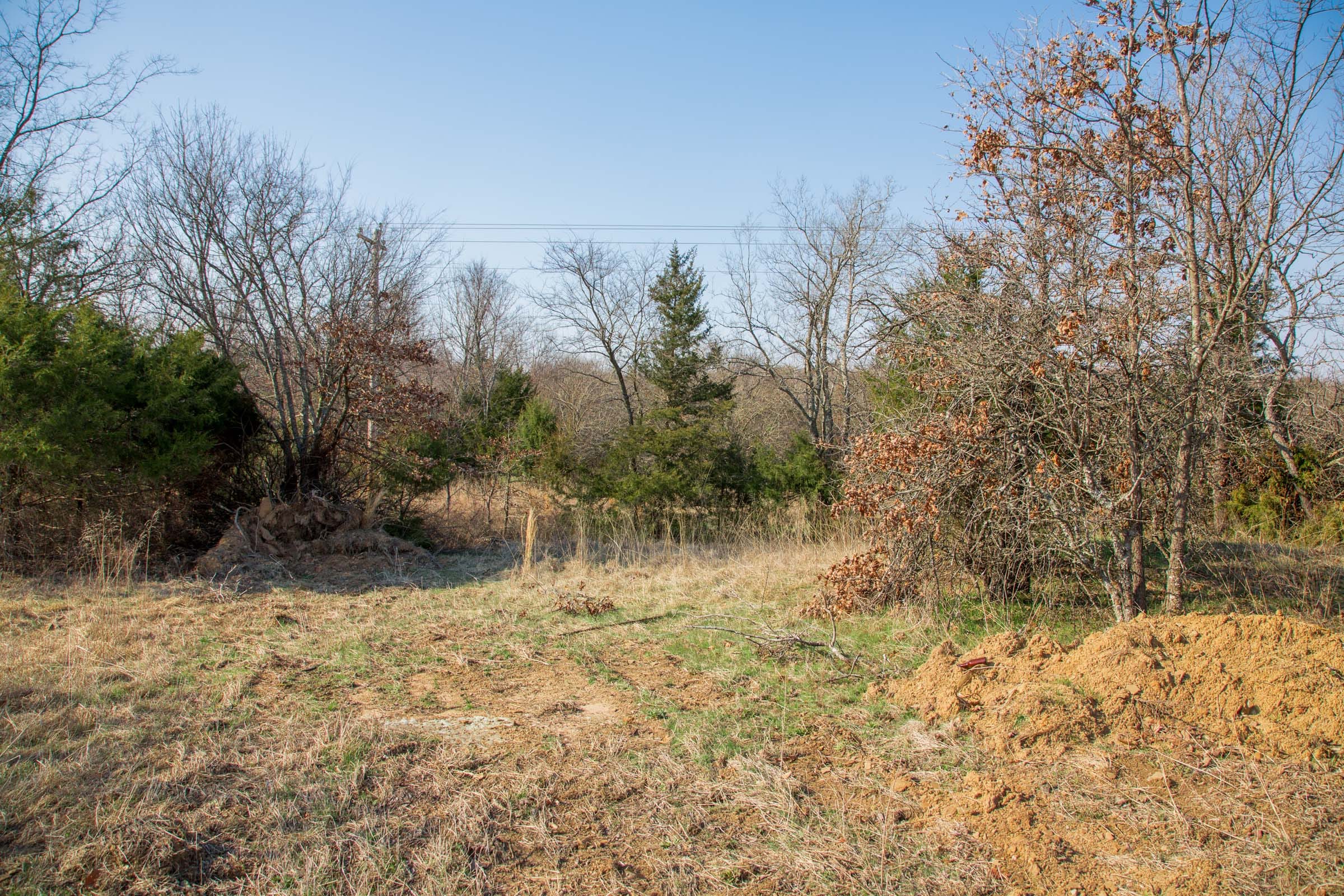 Eufaula Cove Tract 1 photo 18