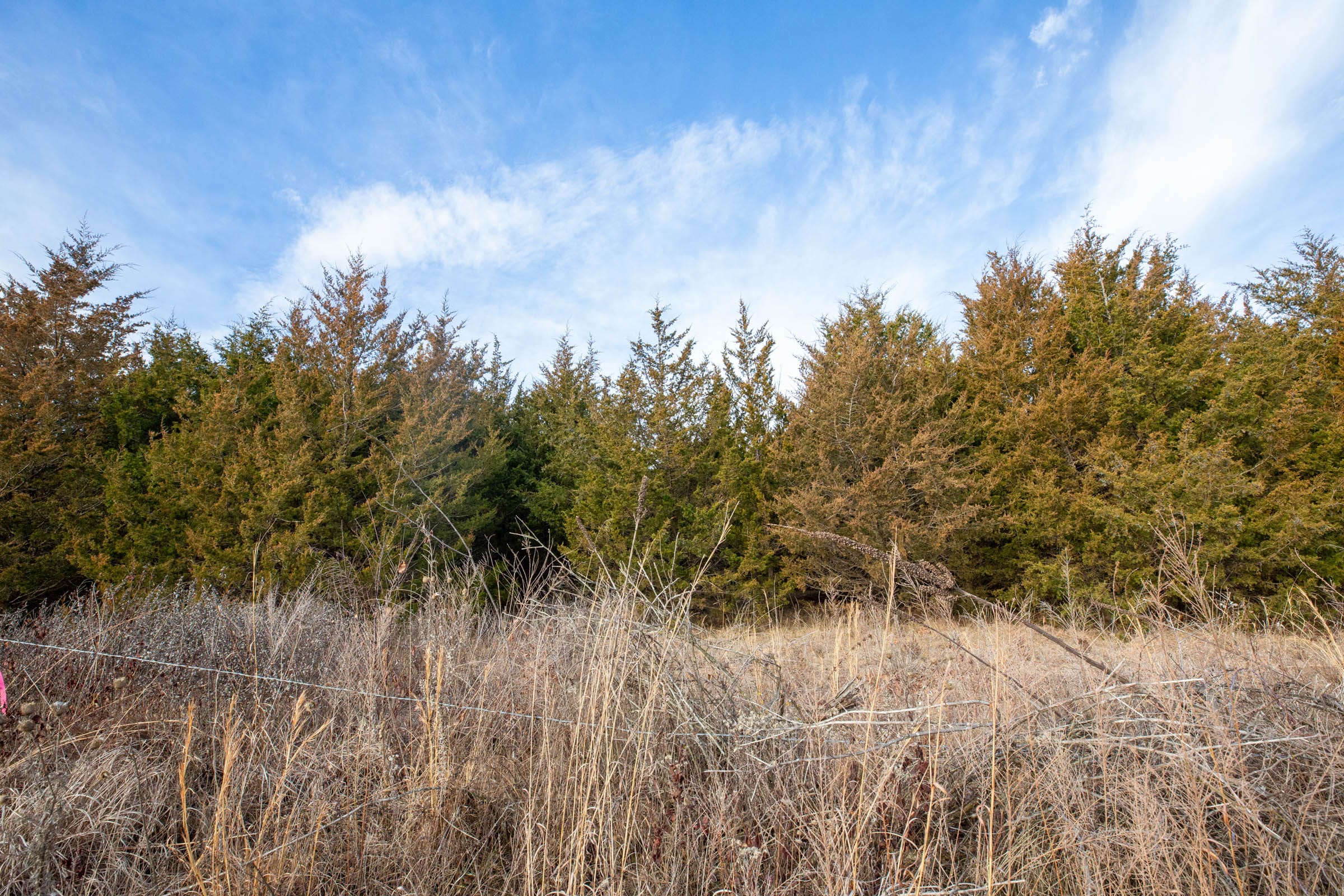 Forest Hill Tract 6 photo 3