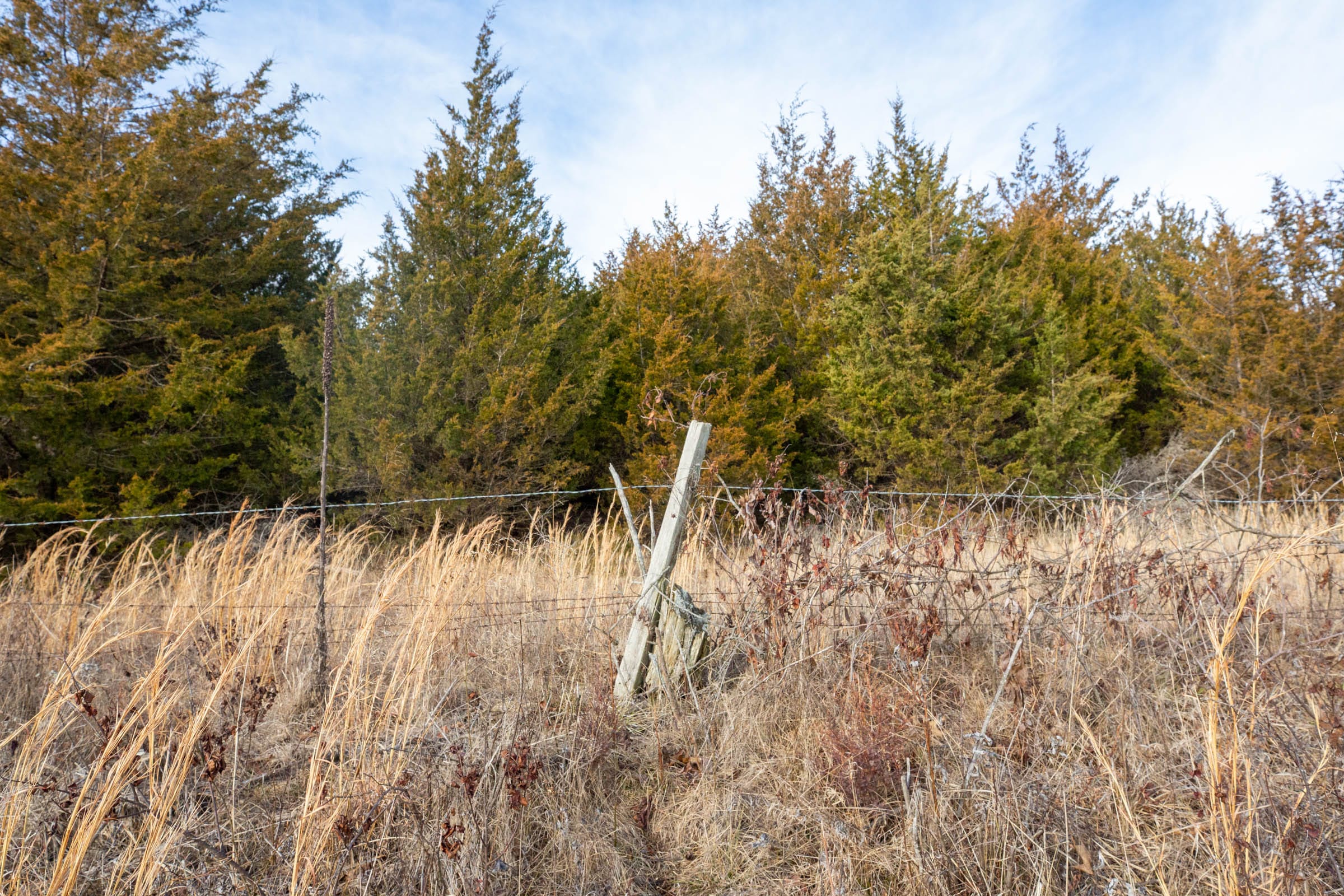 Forest Hill Tract 6 photo 12