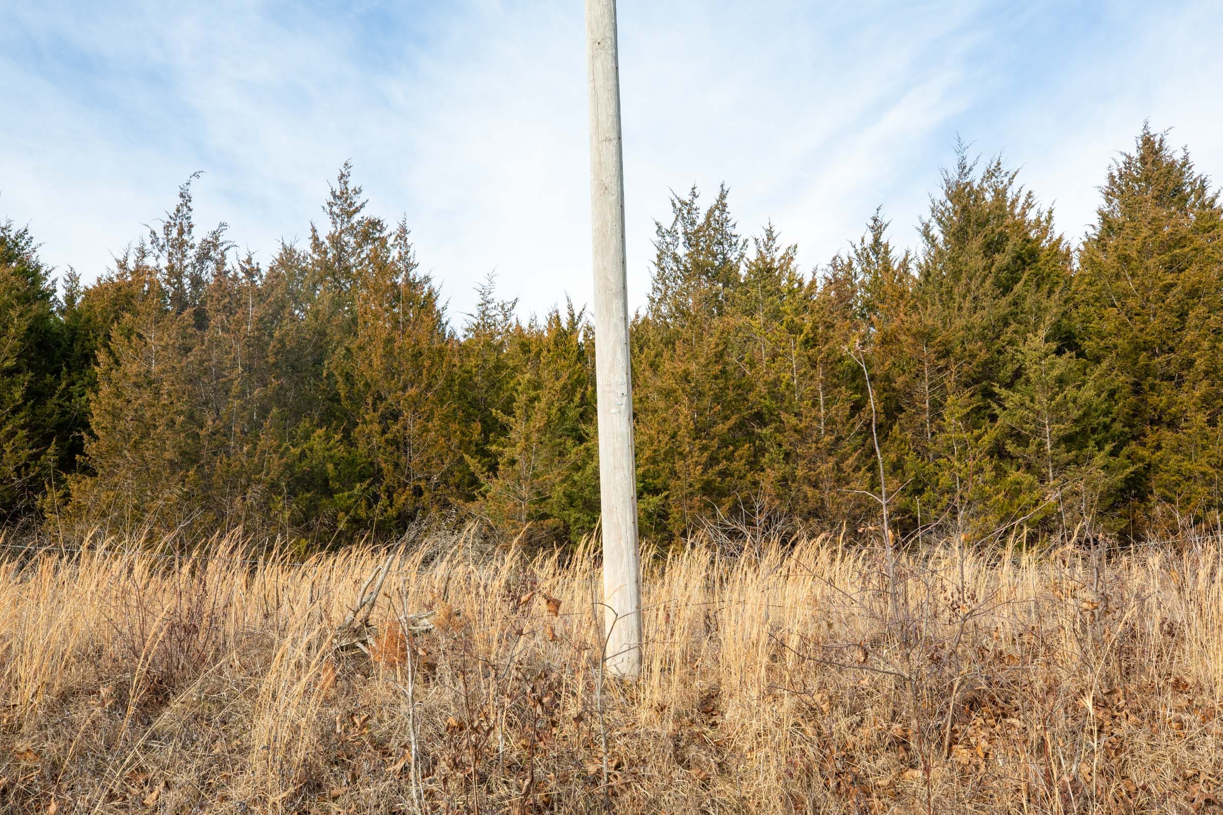 Forest Hill Tract 6 photo 4