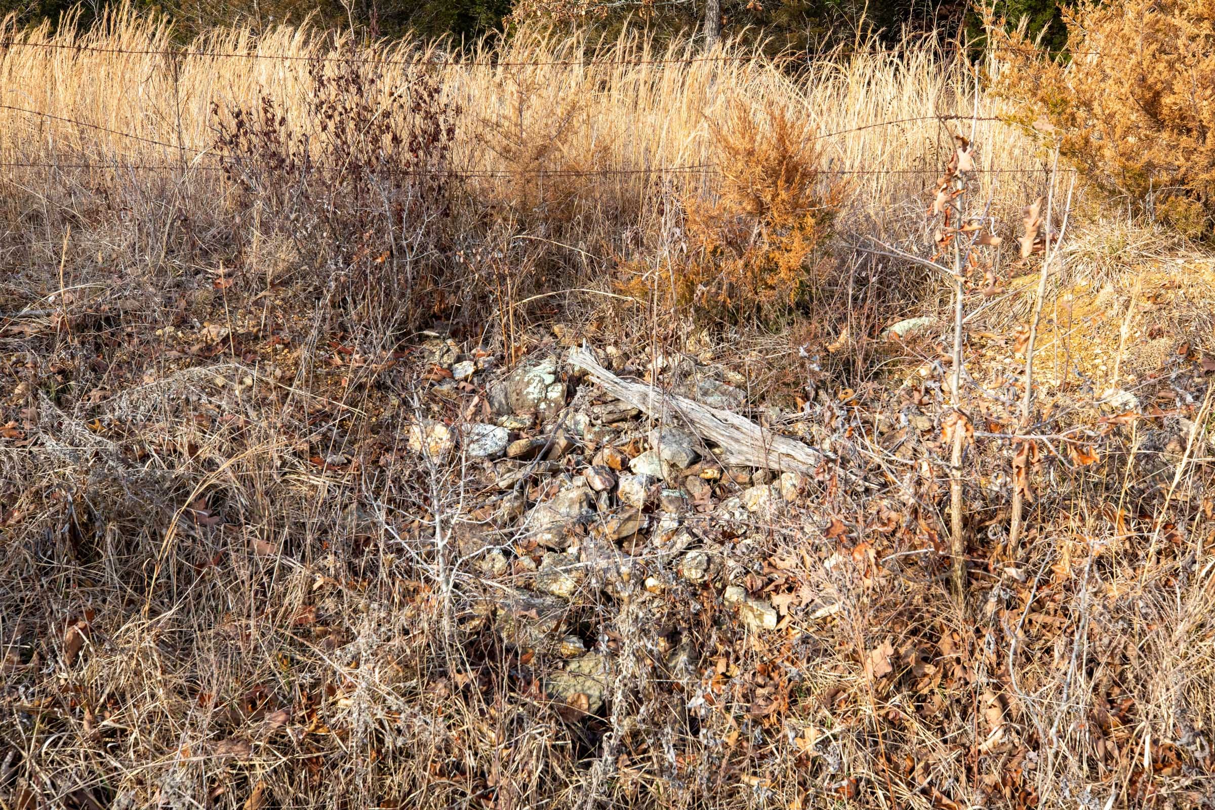 Forest Hill Tract 6 photo 7