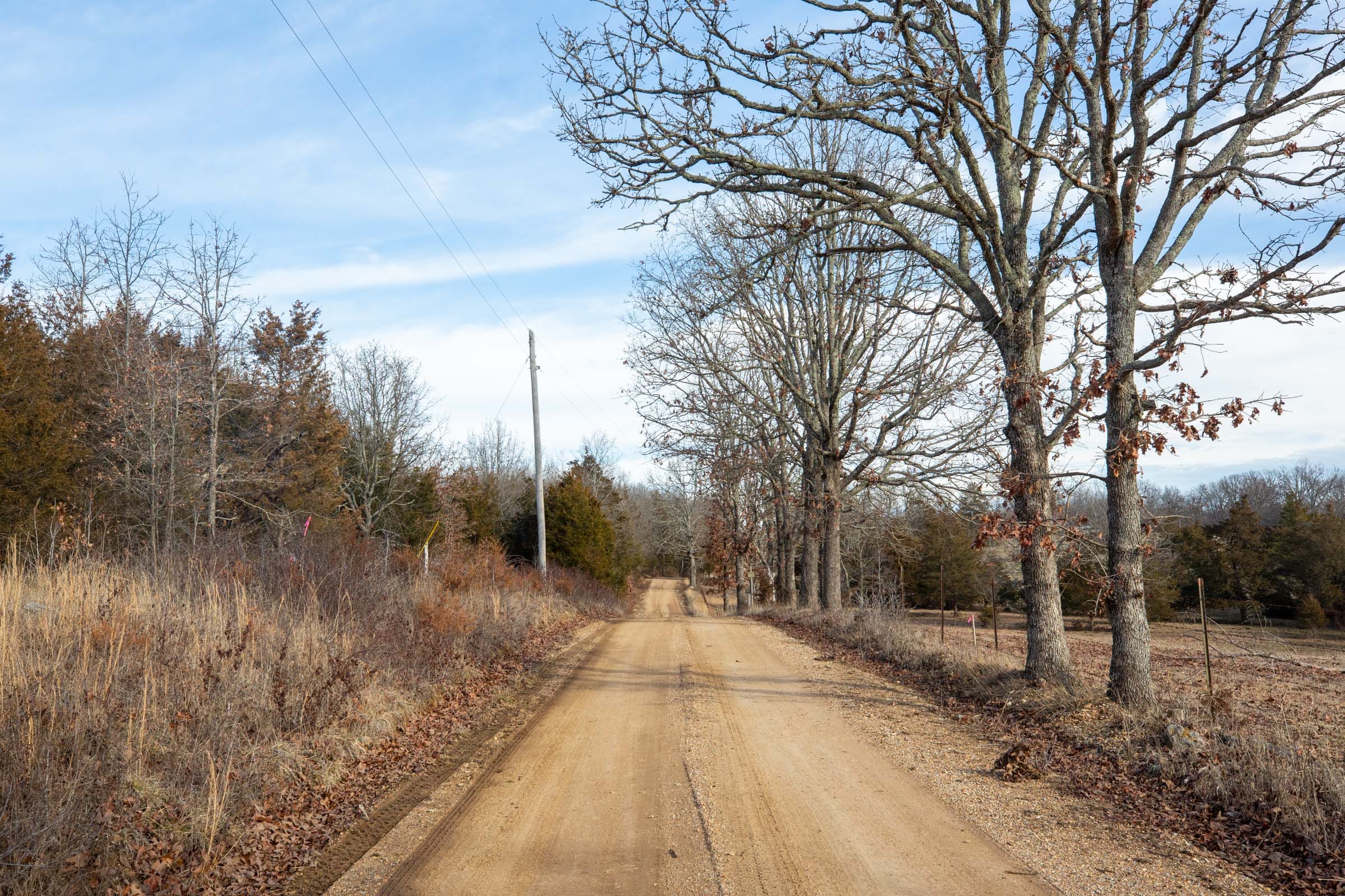 Forest Hill Tract 6 photo 10