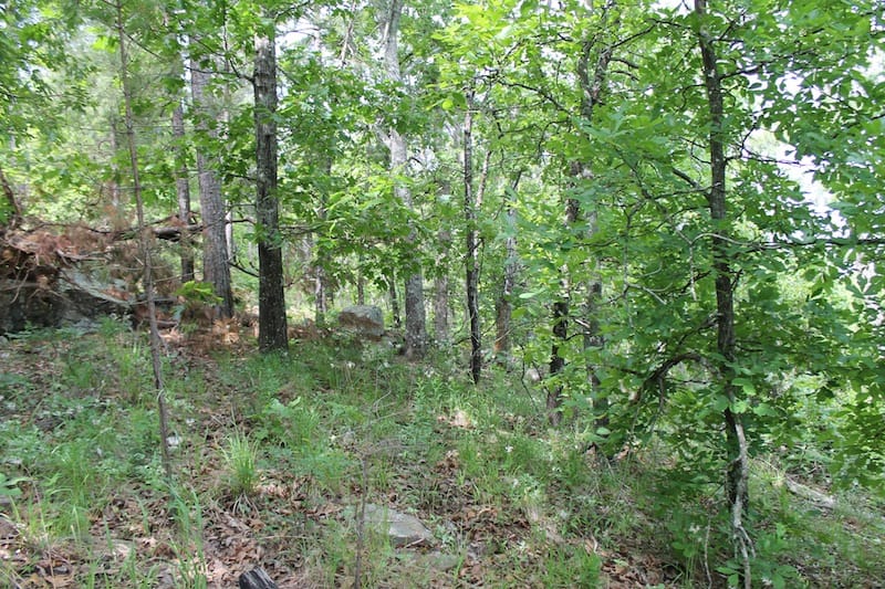Indian Ridge – Phase II Tract 42 photo 3