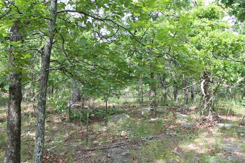 Indian Ridge – Phase II Tract 42 photo 4