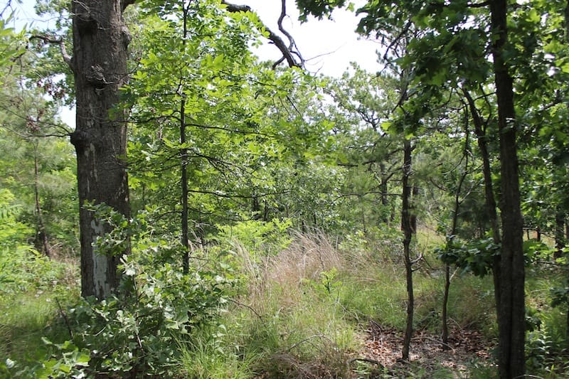 Indian Ridge – Phase II Tract 42 photo 6